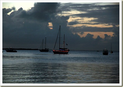 IMG_3876 IMG_3876