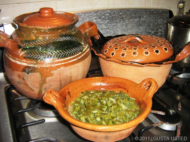 NOPALES EN VERDE (9) NOPALES EN VERDE (9)