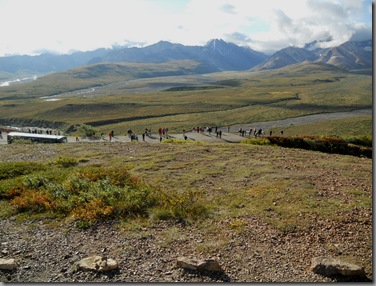 traindenali 099 traindenali 099