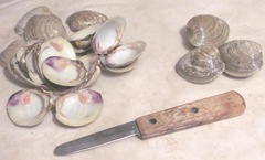 little neck clams shucking knife and shells2