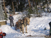 IMG_5133.JPG