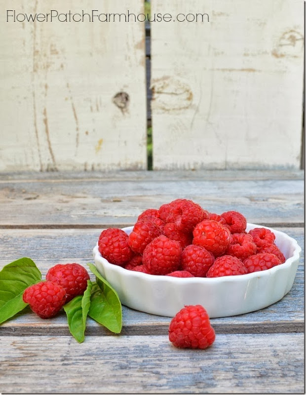 raspberry 1 raspberry 1