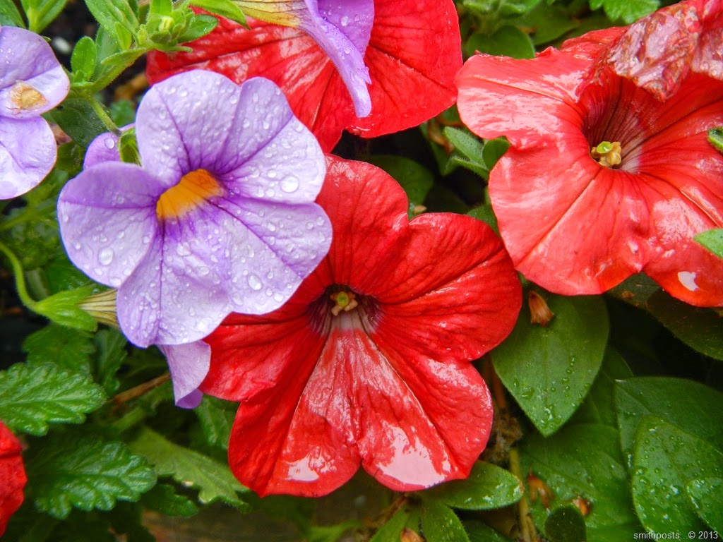 [DSCN6872%255B3%255D.jpg]