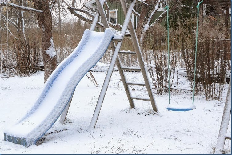 DSC_0306 DSC_0306
