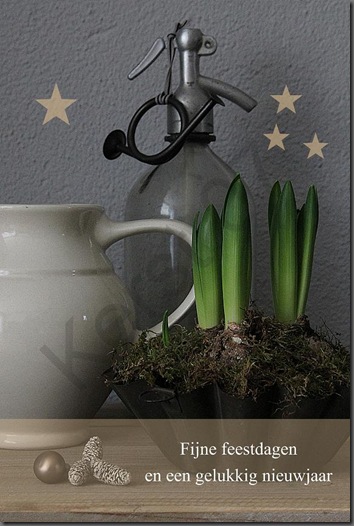 Home & Lifestyle Home & Lifestyle