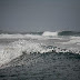 _MG_8961.JPG