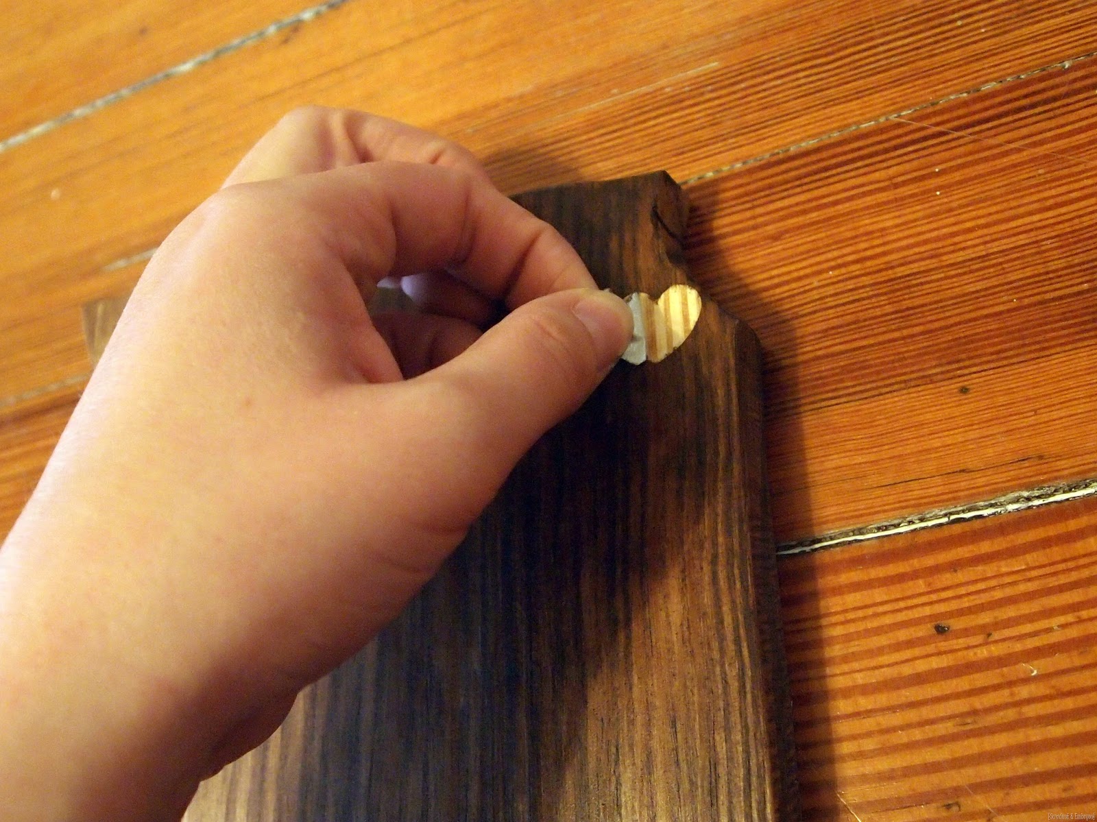 [DIY%2520State%2520Plaque%2520%257BSawdust%2520%2526%2520Embryos%257D%255B6%255D.jpg]