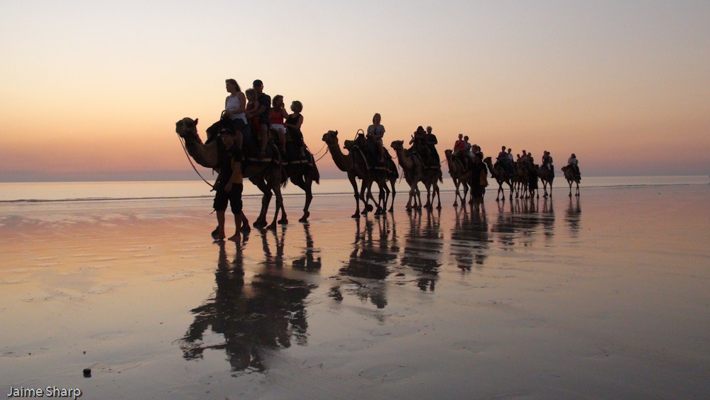 [Broome-012584.jpg]