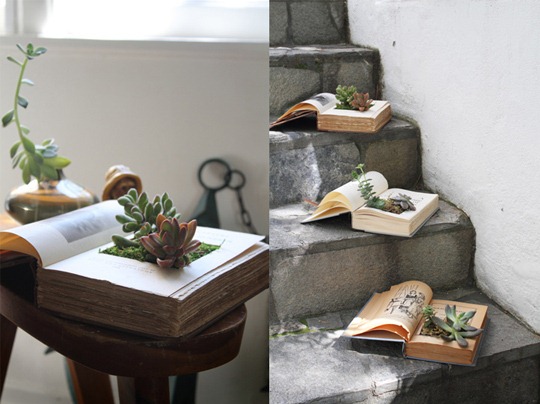[DIYBookPlanter-Final1-apartment-ther%255B1%255D.jpg]