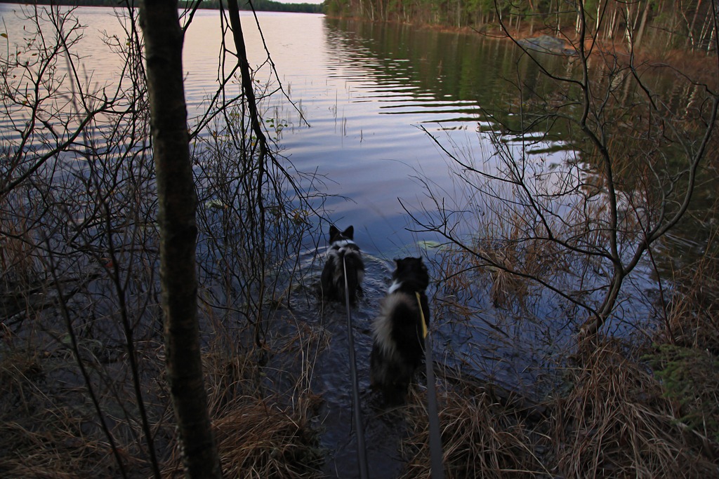 [08nov2011_Ingridtjern_5192%255B5%255D.jpg]