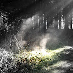 20091125 Allgaeu 0920 [640x480].JPG