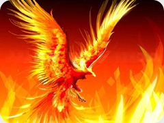 ave fenix ave fenix