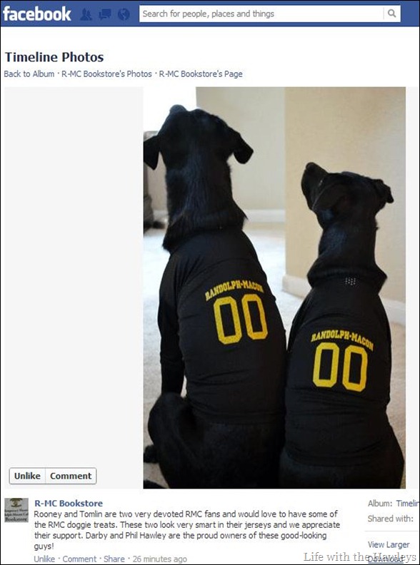 RMC Dogs RMC Dogs