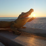 DSCF2724.JPG