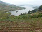 Bunyonisee