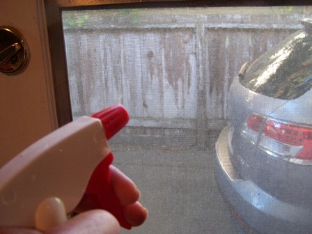 [spray%2520window%255B4%255D.jpg]