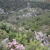 Cursa2010-Sergi-ROCA VERDURA