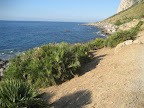 Riserva Capo Gallo 12/08/2007