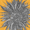 The Sunflower