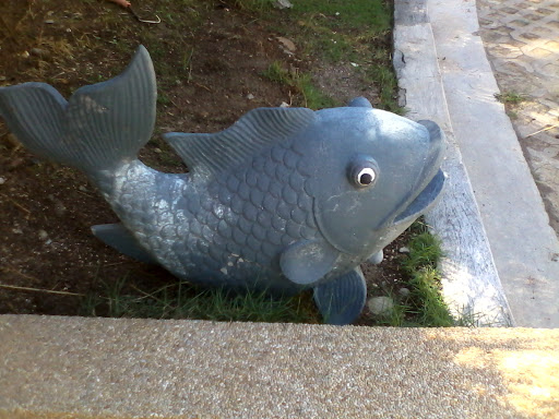 Fish Fountain 