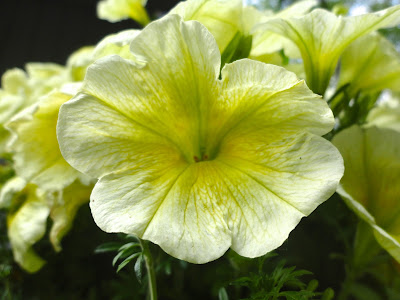 Help Image 1