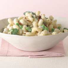 Pasta in Almond Garlic Sauce