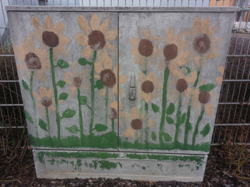 Painted Box Sonnenblumen
