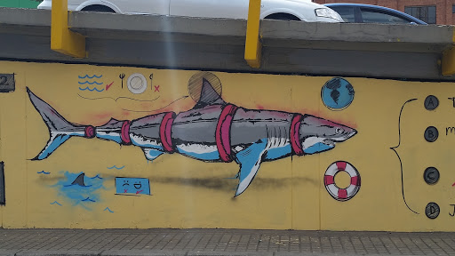 Graffitti Tiburon Tajado 2