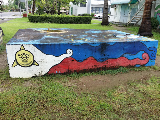 Dolphin Philippine Flag Graffiti