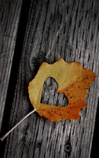 How to get Autumn Love Live Wallpaper 15.0 unlimited apk for pc