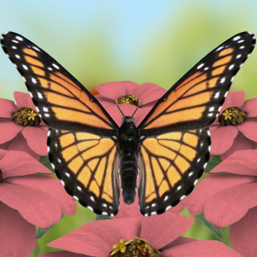 Butterflies 3D Live Wallpaper LOGO-APP點子