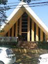 Primeira Igreja Presbiteriana De Maringá