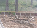 Ruina Casa Típica Celta I