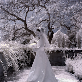 Magic garden by Scott Nelson - Wedding Bride