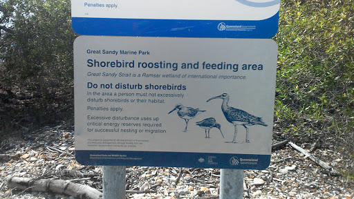 Shorebirds Roosting And Feeding Area