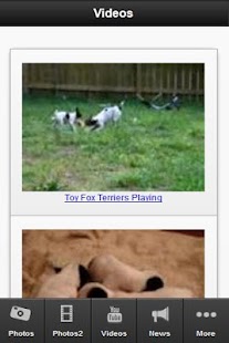 How to install Foxterrier App 1.01 apk for laptop