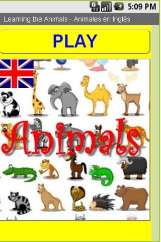 Animales en Ingles