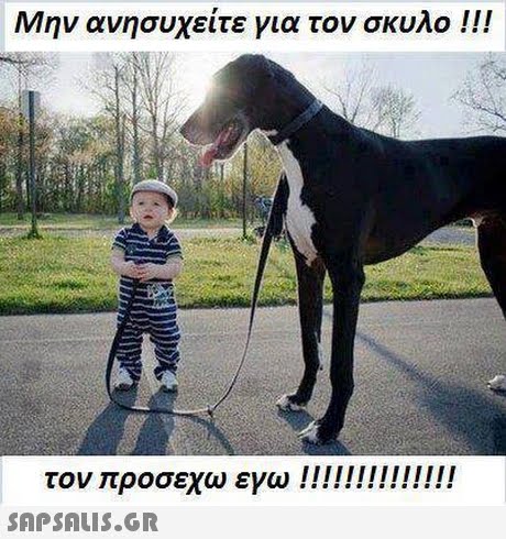 Μην ανησυχείτε για τον σκυλο !! ! 