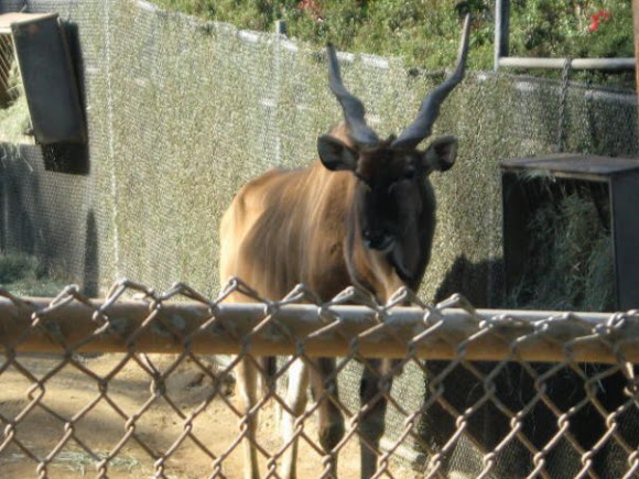 Spotting Image 1
