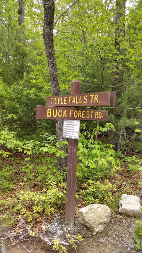 Triple Falls Buck Forest Split