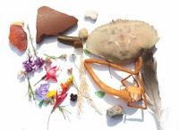 Beach Treasure Hunt
