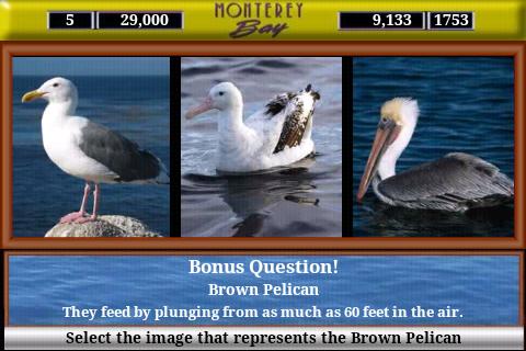 【免費教育App】Monterey Bay Sea Life-APP點子