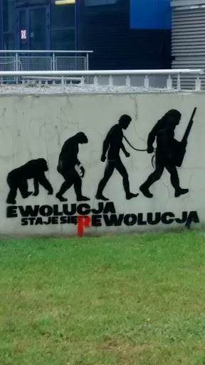 Ewolucja Staje Się Rewolucją 
