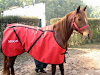 Mantas Para Caballos Impermeable Abrigo