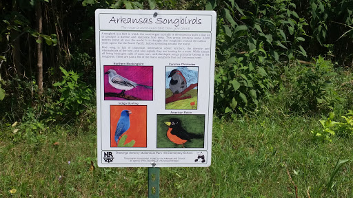 Arkansas Song Birds