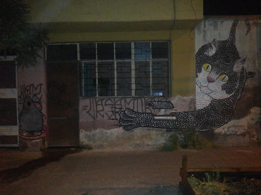 El Gato Y El Raton