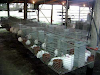 Jaulas De Conejos