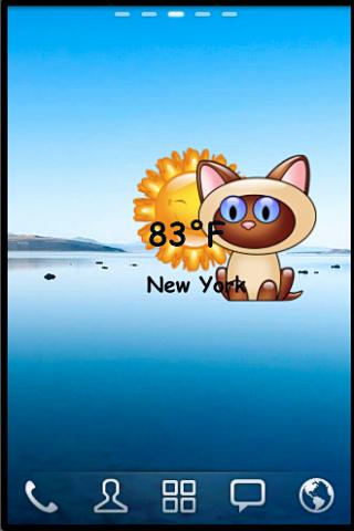 Kitten Weather Widget