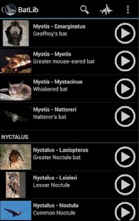 How to get BatLib - Bat calls 1.4 apk for pc