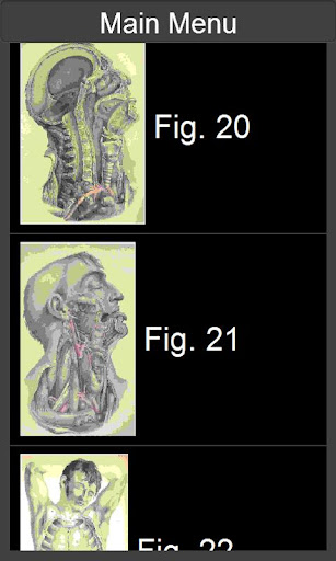 Surgical Anatomy Mobile